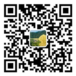 网信彩票官网入口